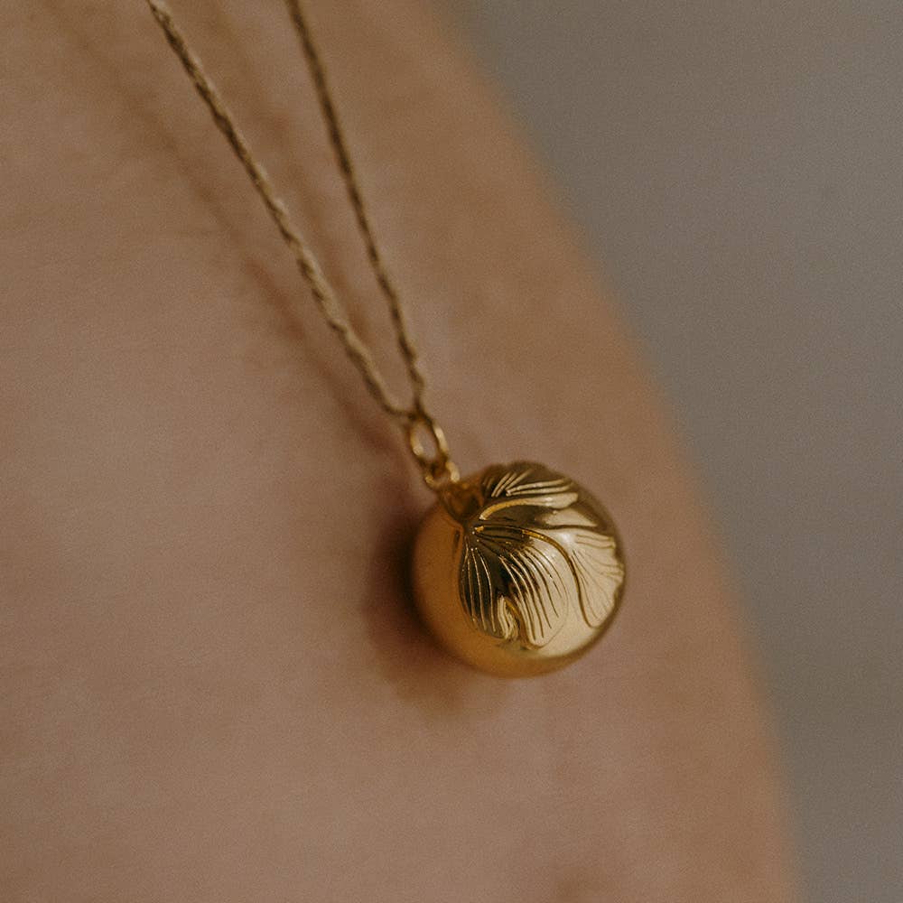 Schwangerschaftsbola - Ginko